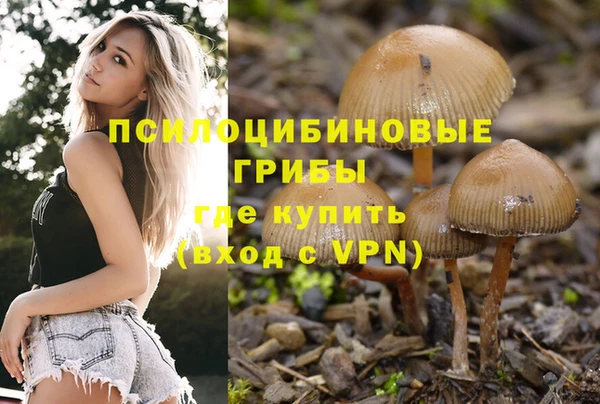 СК Алексеевка