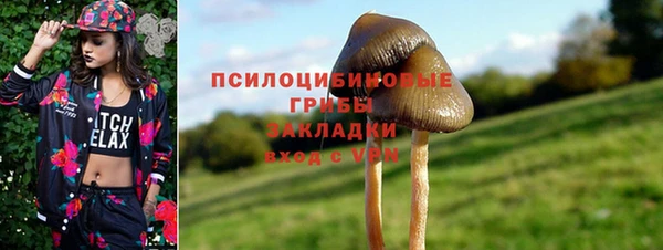 СК Алексеевка