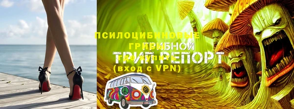 СК Алексеевка