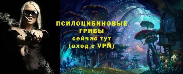 СК Алексеевка
