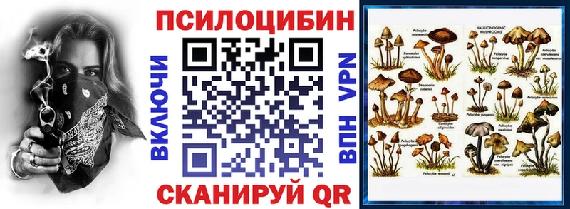 где продают наркотики  нарко площадка телеграм  Галлюциногенные грибы MAGIC MUSHROOMS  Мышкин 
